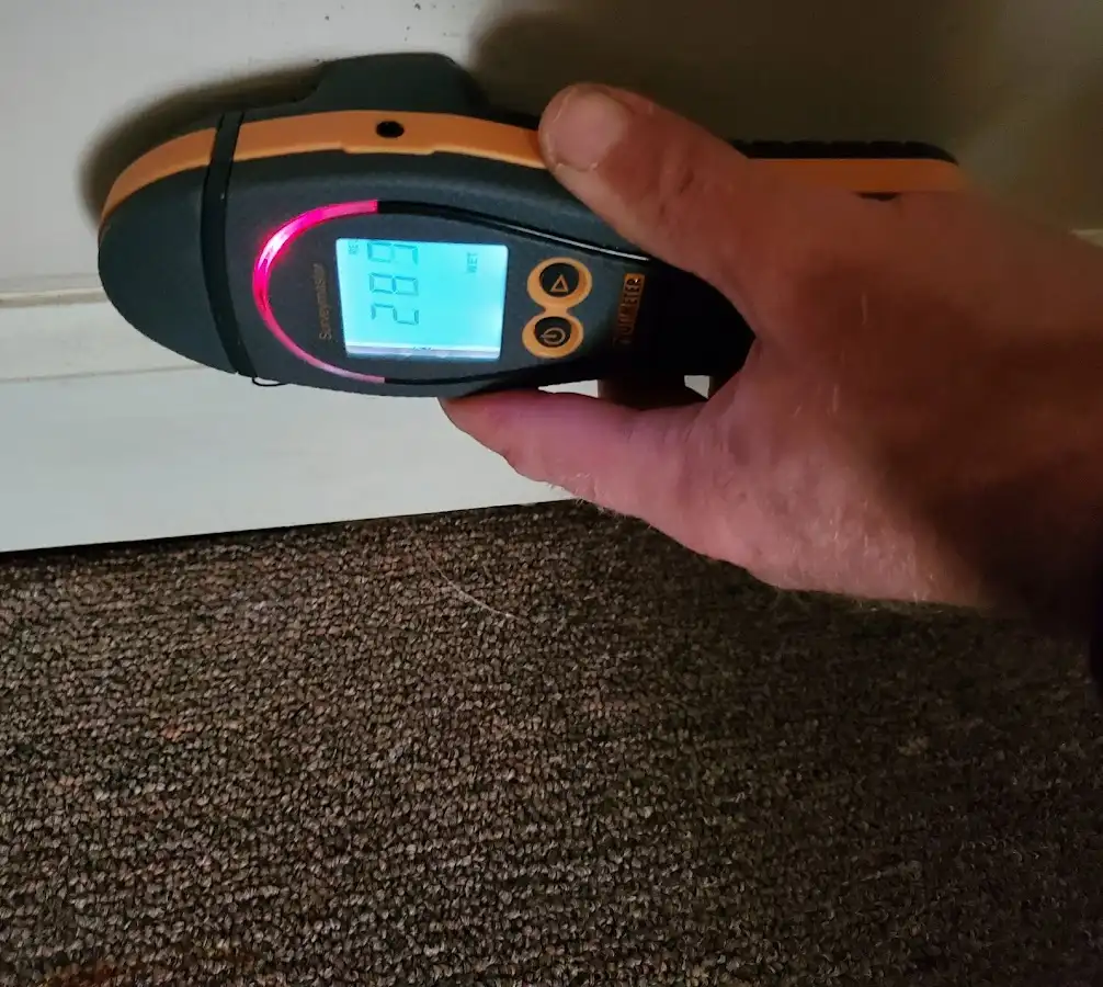 Moisture detection at baseboard during Mold Inspection & Testing in Nampa